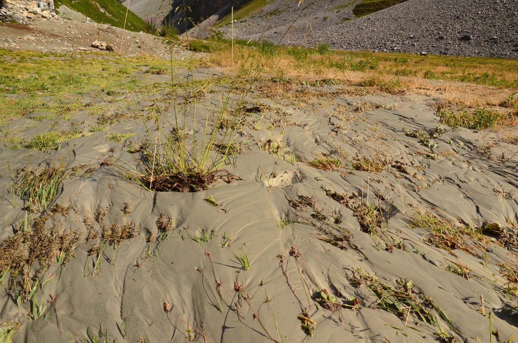 2015-07 Savoie/Refuge du saut/DSC_0152.JPG
